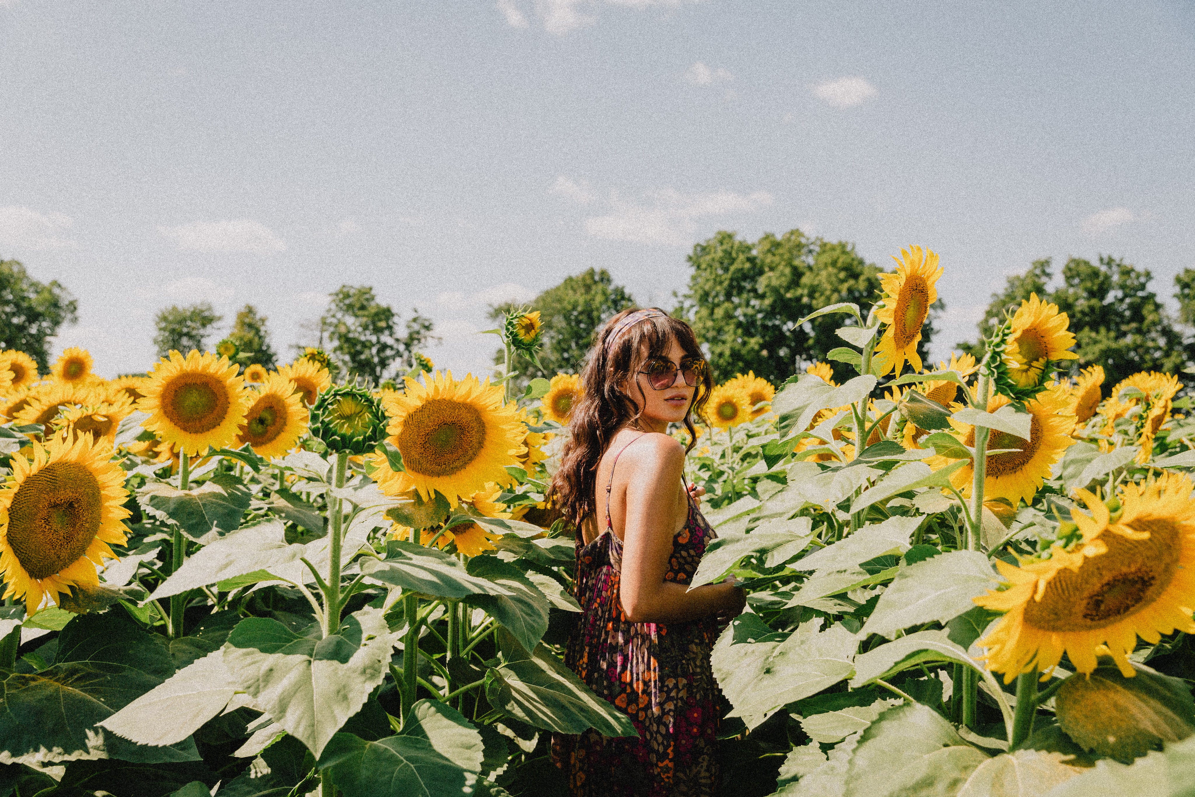 woman-in-a-floral-dress-standing-in-amongst-sunflowers.jpg